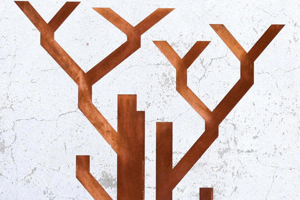 Bosco 21 Copperwood Detail