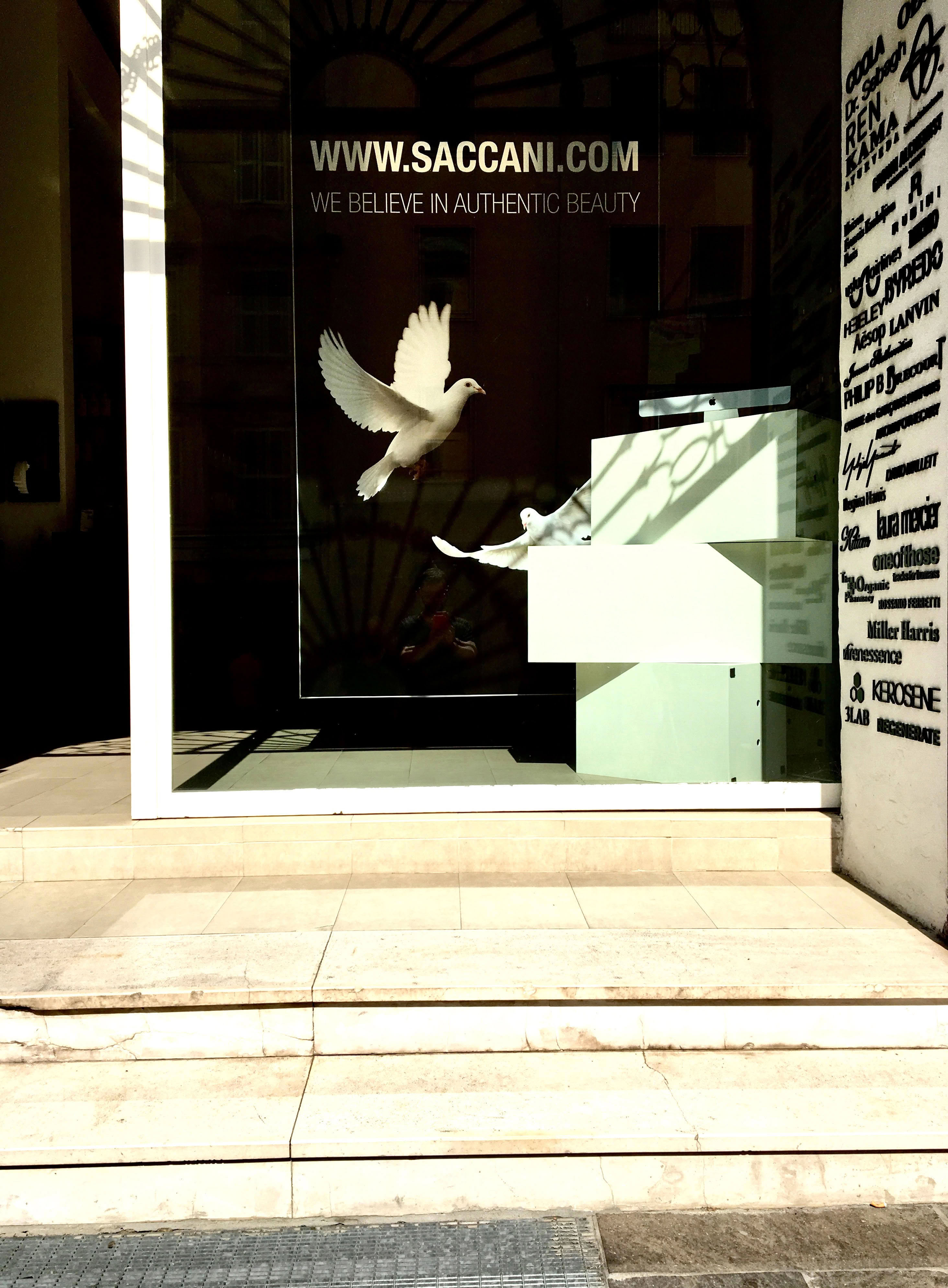 Shop On-line 20th Anniversary