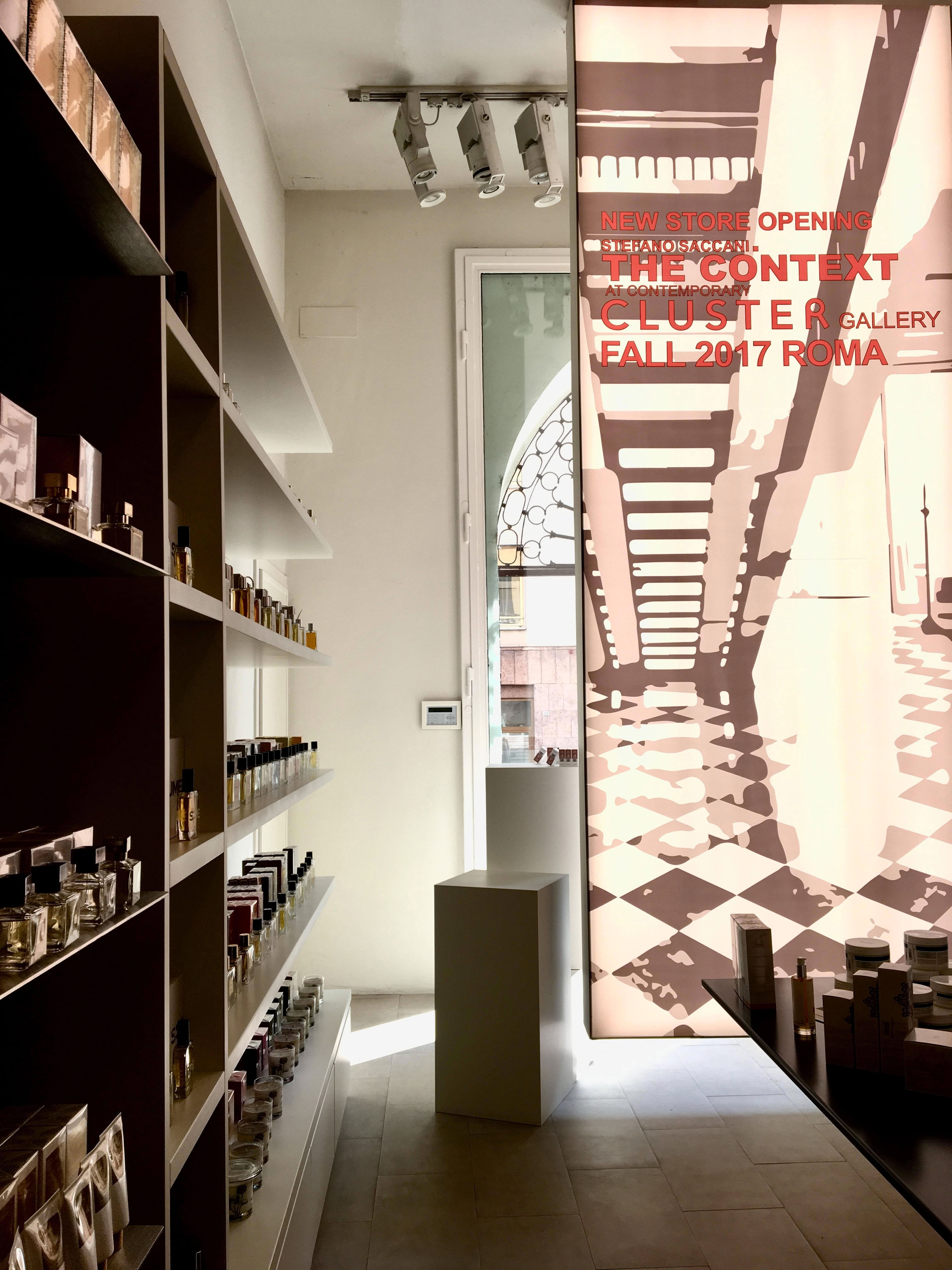 Stefano Saccani The Context